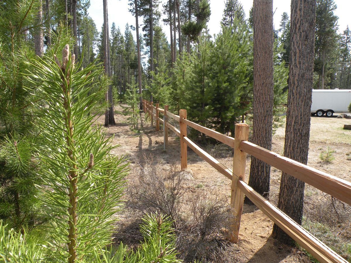 Cozy Cabin Lapine La Pine Rom bilde